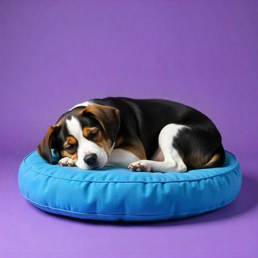 The Snuggle Bed